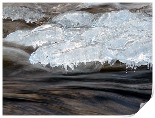 Ice on the Rocks Print by Mark Malaczynski