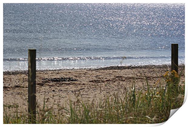 Leven's sandy beach Print by Zoe Anderson