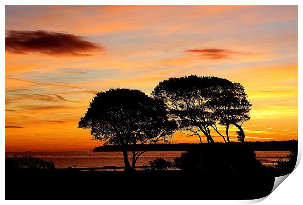 On Top Of Lepe Print by Louise Godwin