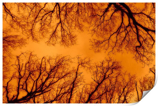 Russet Abstract Trees Print by Louise Godwin