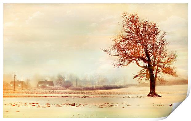  Lone Tree Print by Louise Godwin