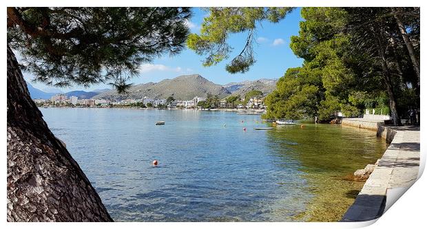 Pinewalk Puerto Pollensa  Print by Louise Godwin