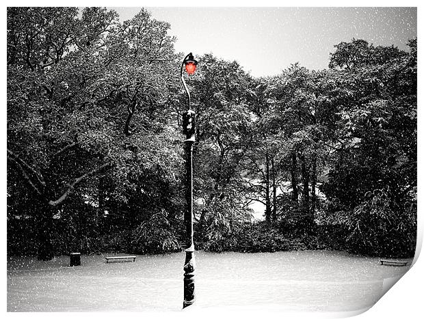 Lampost Print by Louise Godwin