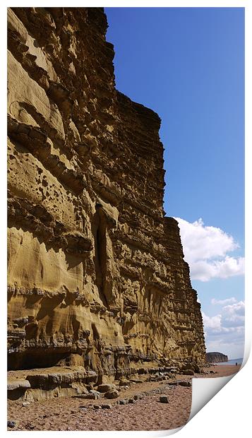 Jurassic Coast Cliffs Print by Louise Godwin