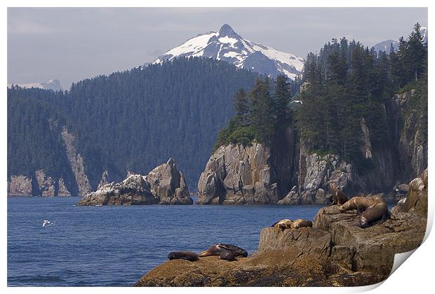 Resurrection Bay Print by Thomas Schaeffer