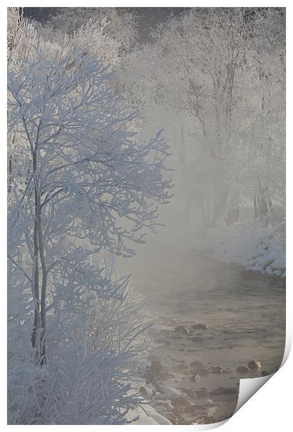 Winter morning Print by Thomas Schaeffer