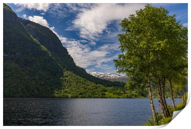 Gaularfjellet Print by Thomas Schaeffer