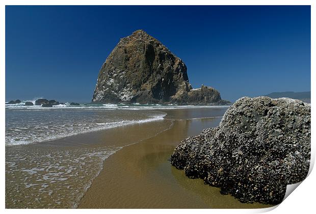 Haystack rock Print by Thomas Schaeffer