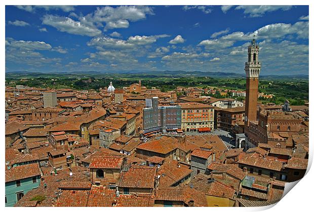 Siena Panoramic I Print by Thomas Schaeffer