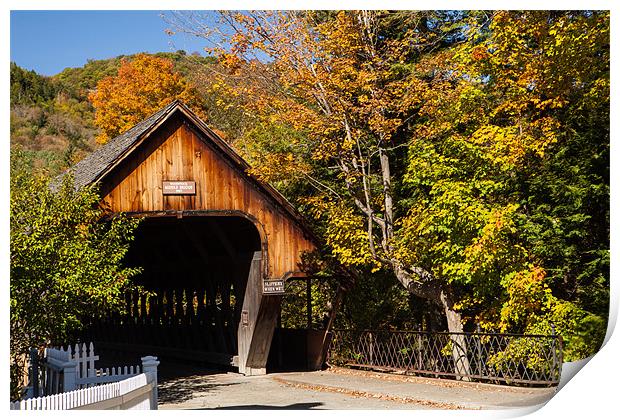 Middle Bridge Print by Thomas Schaeffer