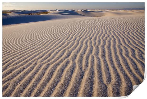 White Sands  Print by Thomas Schaeffer