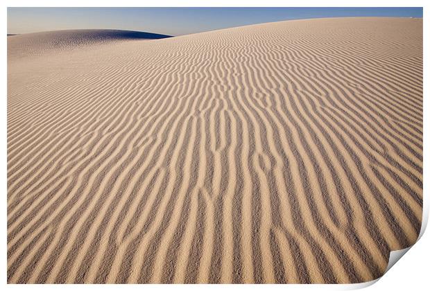 White Sands  Print by Thomas Schaeffer