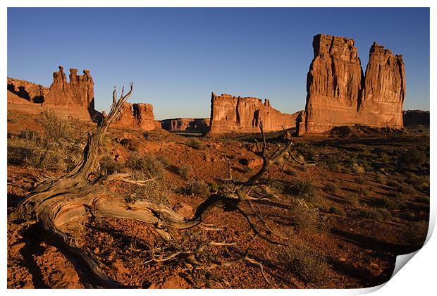 Courthouse towers Print by Thomas Schaeffer