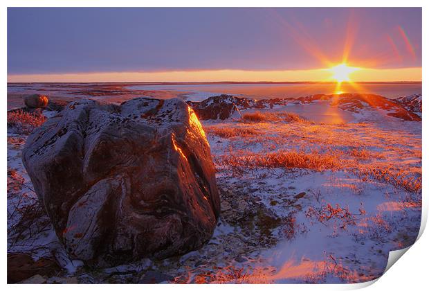 Arctic Sunset  Print by Thomas Schaeffer