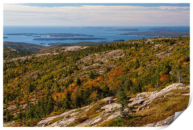 View from Cadillac Mountain Print by Thomas Schaeffer