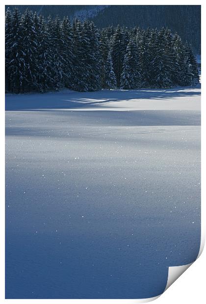 Diamond snow Print by Thomas Schaeffer