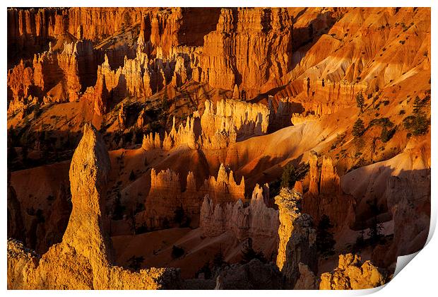 Sunrise at Bryce Canyon Print by Thomas Schaeffer