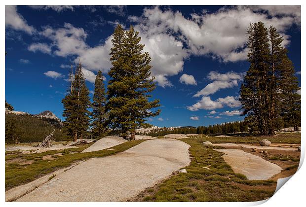 Tioga Road, Yosemite NP Print by Thomas Schaeffer