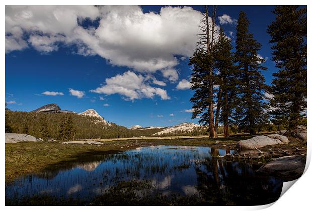 Tioga Road, Yosemite NP Print by Thomas Schaeffer