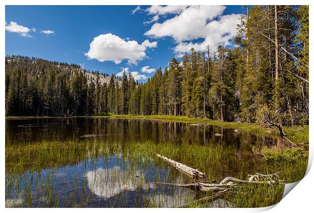 Tioga Road, Yosemite NP Print by Thomas Schaeffer