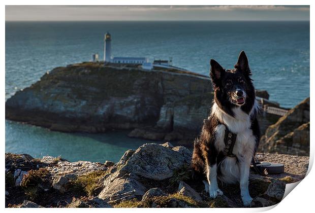 Ayla at the South Stack Print by Thomas Schaeffer