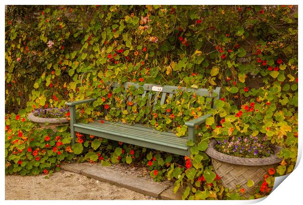 Queen mum bench Print by Thomas Schaeffer