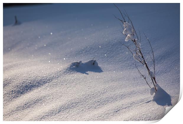 Snow forms Print by Thomas Schaeffer
