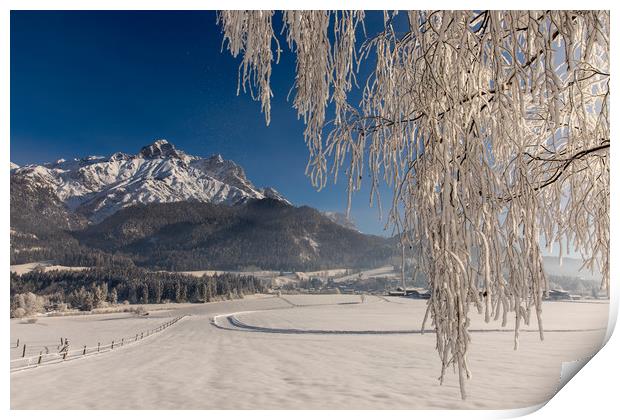 Winter morning Print by Thomas Schaeffer