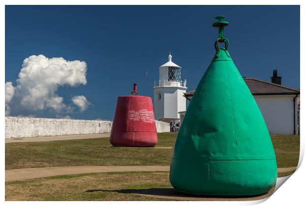 Lizard Point Print by Thomas Schaeffer