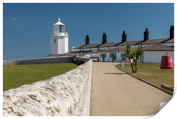 Lizard Point Print by Thomas Schaeffer