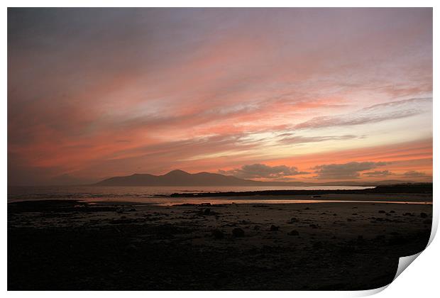 Mournes in the distance Print by pauline morris