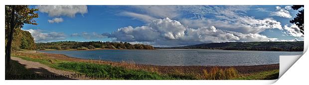 Blagdon- A lake with a view Print by Susie Hawkins