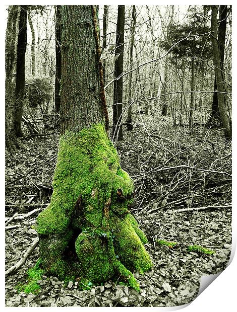 Tree and Moss Print by Susie Hawkins