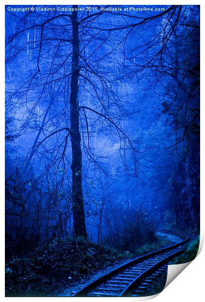  In the dark blue forest Print by Vladimir Sidoropolev