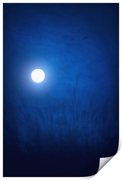 SKY BLUE Print by Tom York