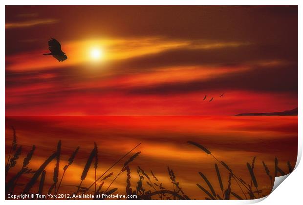 AUGUST SUNSET Print by Tom York