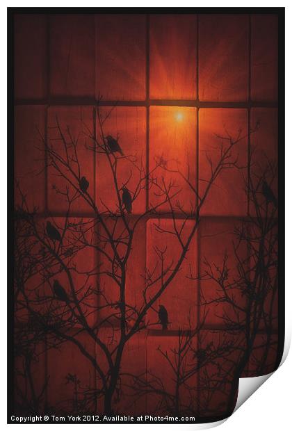 SCARLET SILHOUETTE Print by Tom York