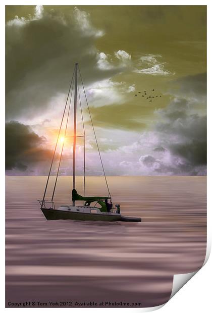ANCHORED FOR THE NIGHT Print by Tom York