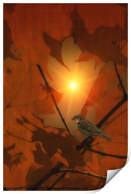 SPARROW IN THE LEAVES Print by Tom York