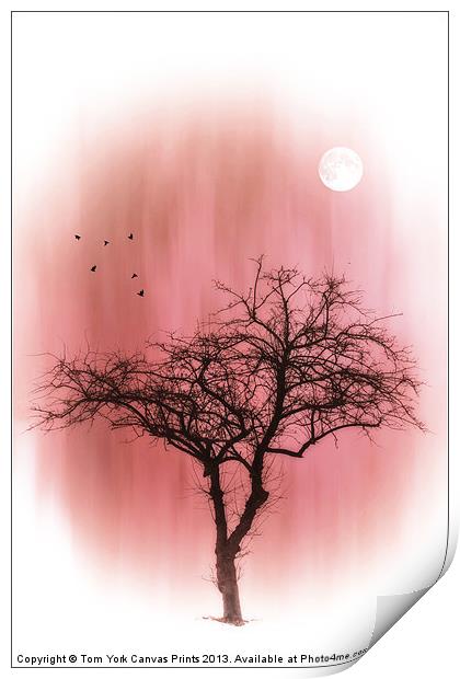 A TREE IN PINK Print by Tom York