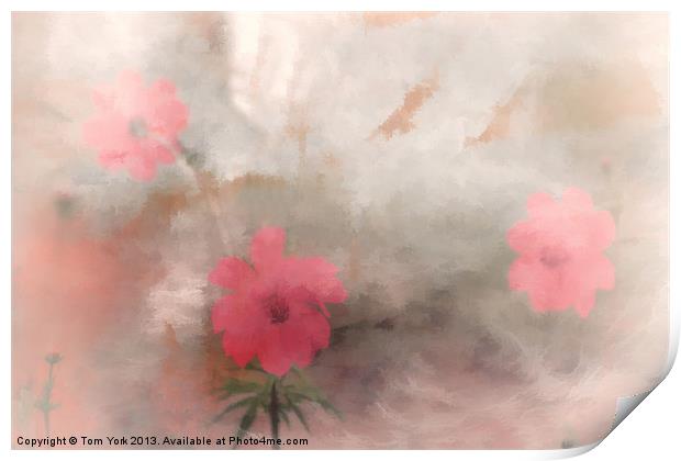 PINK FLORAL ABSTRACT Print by Tom York