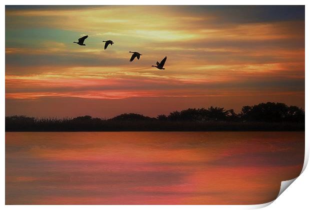 SEPTEMBER SKY Print by Tom York