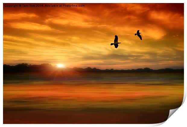 Sunset Serenity Print by Tom York