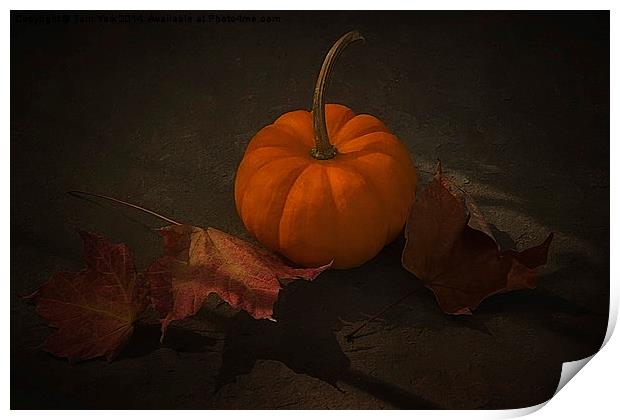 It's Autumn Print by Tom York
