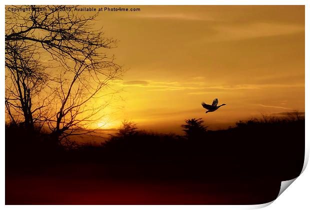 Red River Sunset Print by Tom York