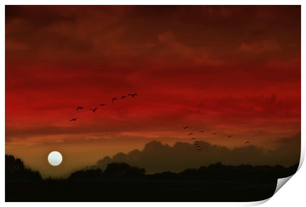 Into A Scarlet Sky Print by Tom York