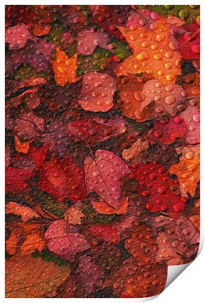 Fallen Leaves Print by Tom York