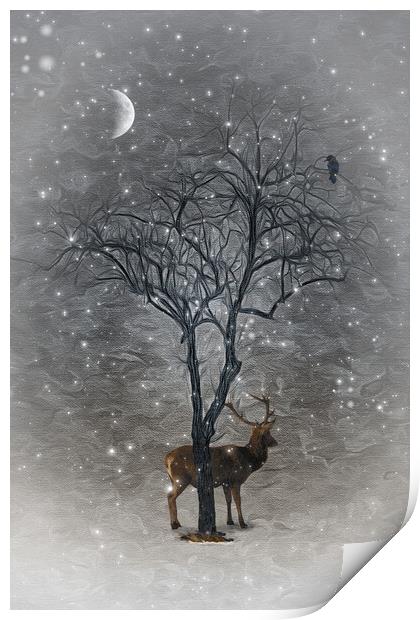 A Naked Tree Print by Tom York