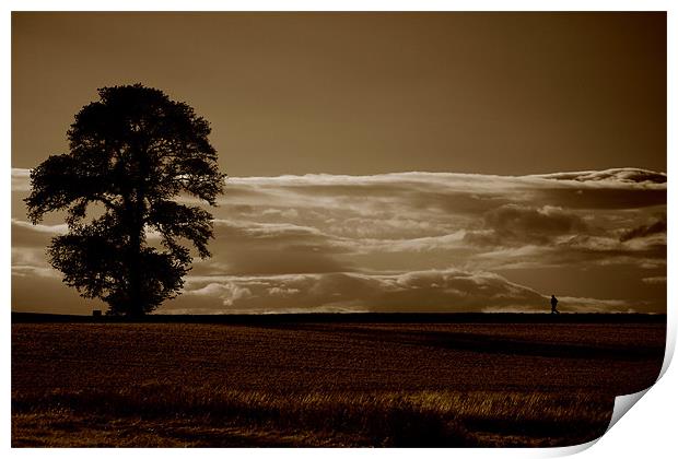 Sepia Serenity Print by Ashley Allen