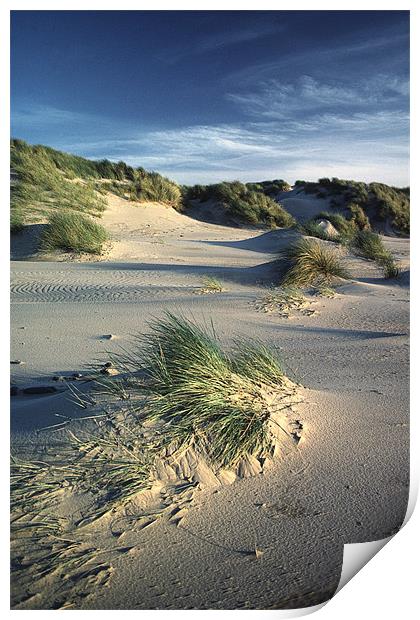 Ynyslas Print by Andrew Scoggins